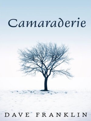 cover image of Camaraderie